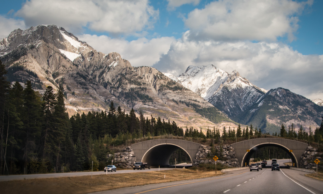 Getting Here to Banff 