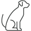 Pet Friendly Accommodation